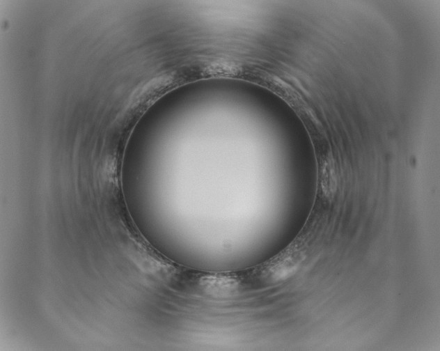 X0000090500714200707131352