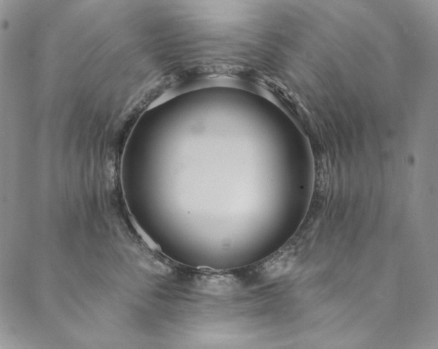 X0000090500716200707131352