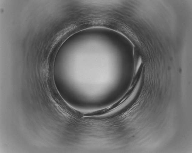 X0000090500722200707131351