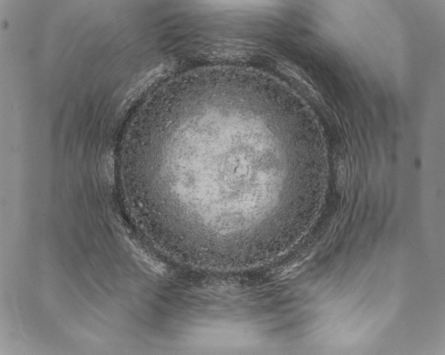 X0000090500729200707131351