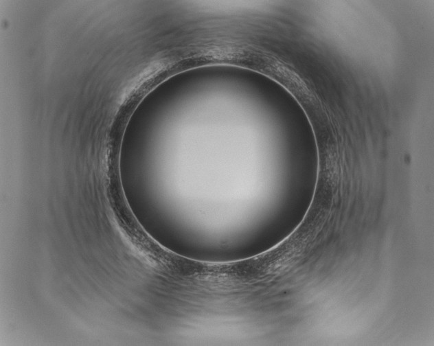 X0000090500730200707131351