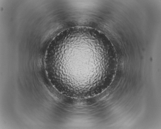 X0000090500746200707131352