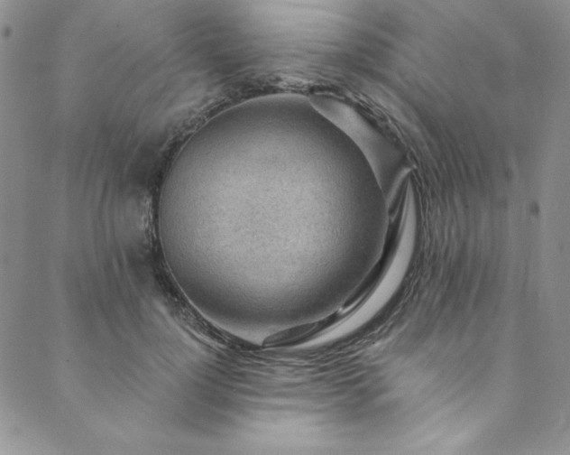 X0000090500748200707131352