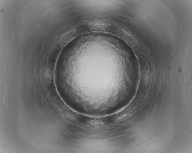 X0000090500749200707131352