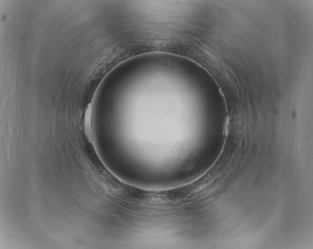 X0000090500750200707131352