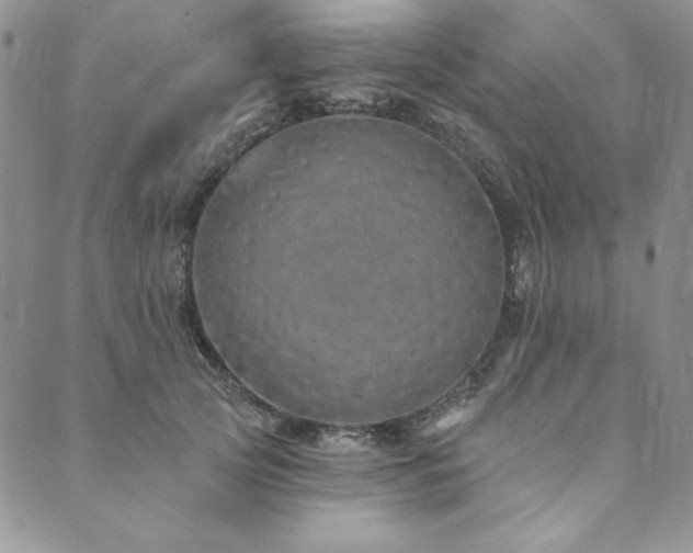 X0000090500753200707131352
