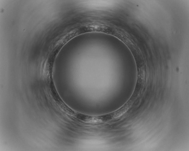 X0000090500754200707131352