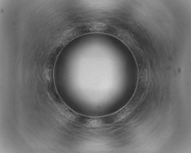 X0000090500755200707131352
