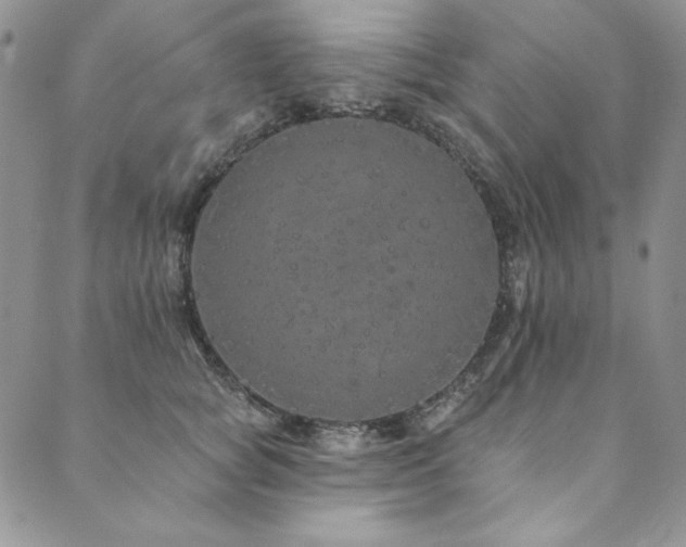 X0000090500757200707131352
