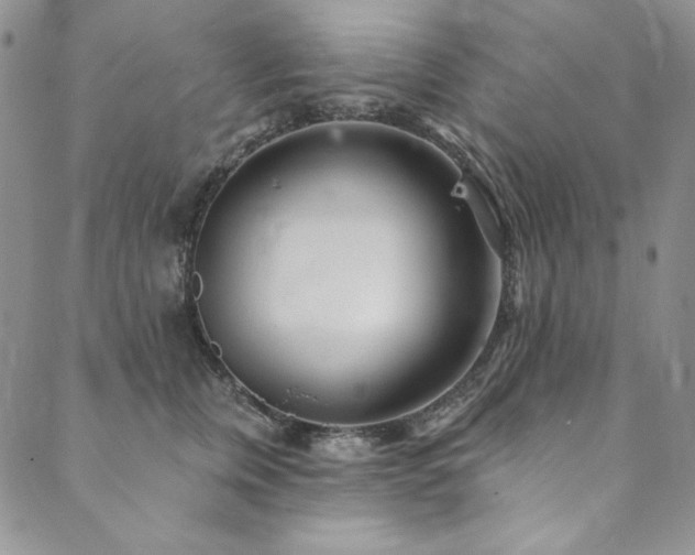 X0000090500759200707131352