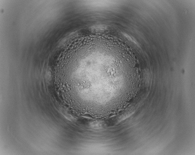 X0000090500761200707131352