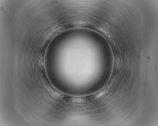X0000090500766200707131352