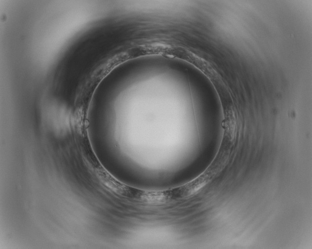 X0000090500767200707131352