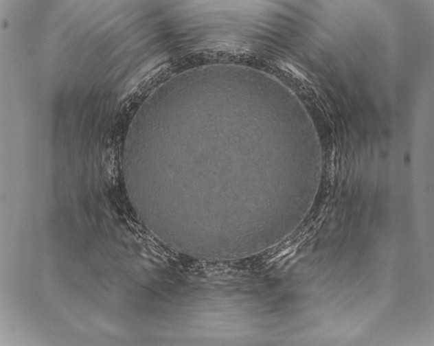 X0000090500774200707131351