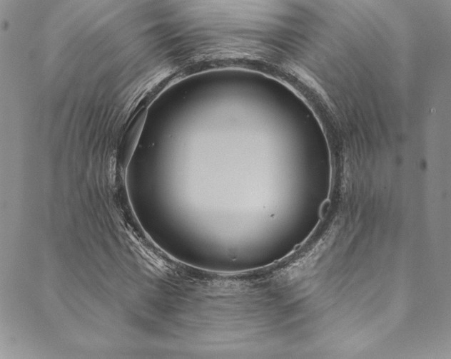X0000090500777200707131351