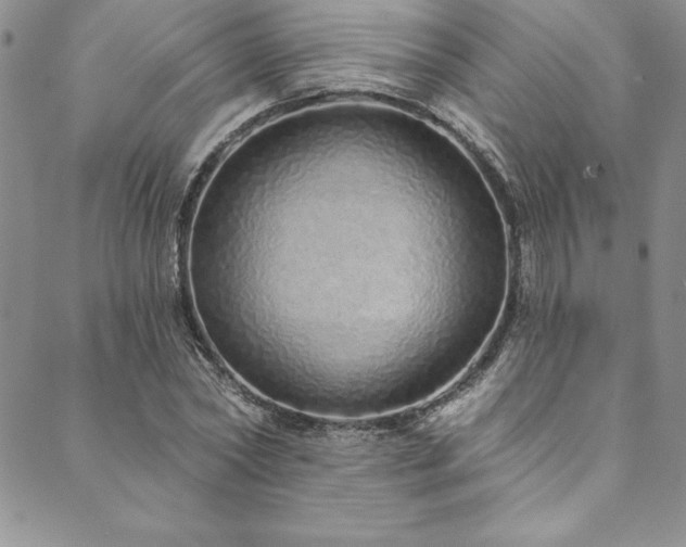 X0000090500782200707131351