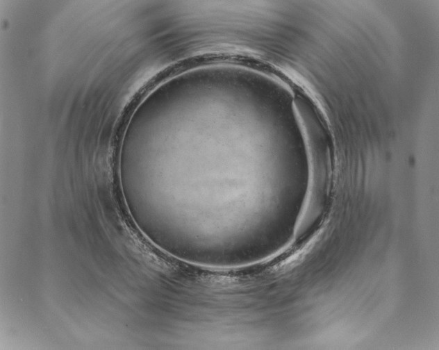 X0000090500783200707131351