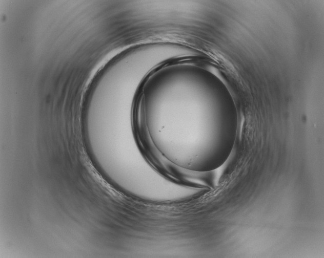 X0000090500784200707131351