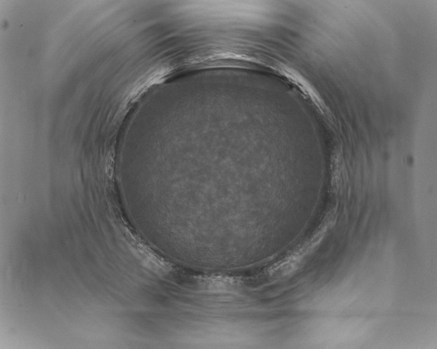X0000090500785200707131351