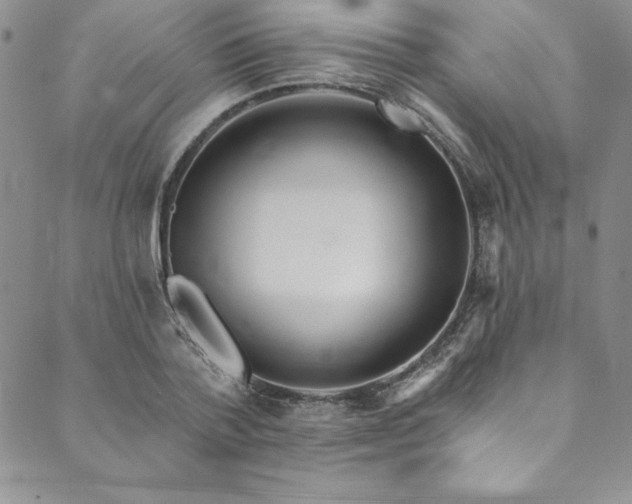 X0000090500788200707131351