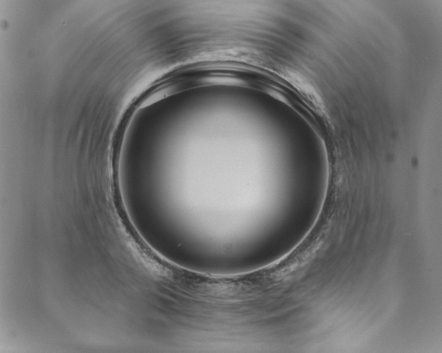 X0000090500792200707131351
