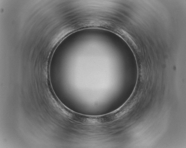 X0000090500794200707131351