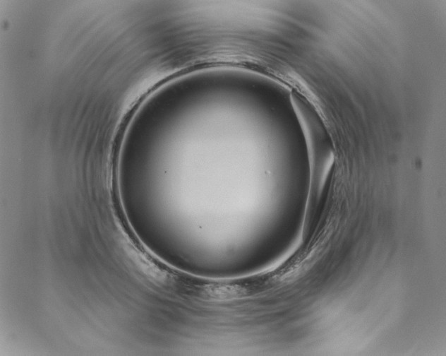 X0000090500795200707131351