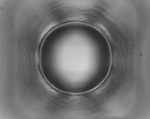 X0000090500796200707131351