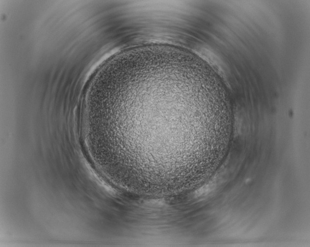 X0000090500798200707131351