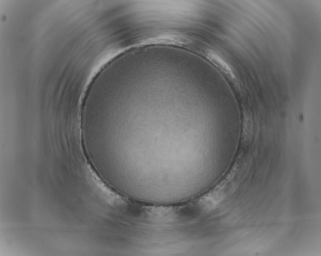 X0000090500800200707131351