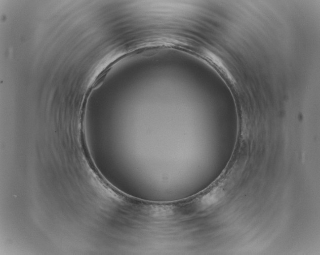 X0000090500802200707131351
