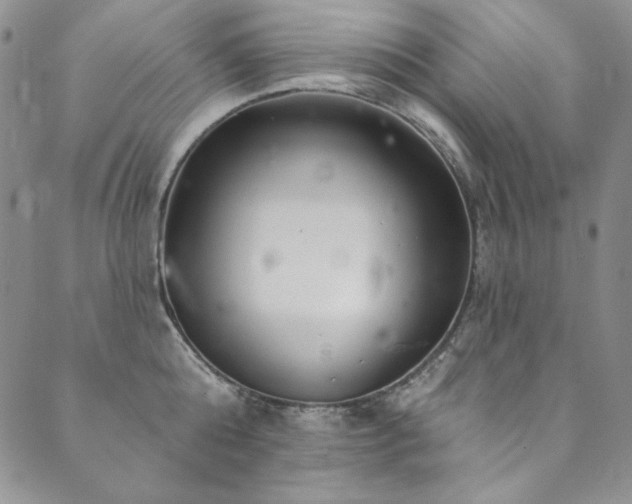 X0000090500808200707131350