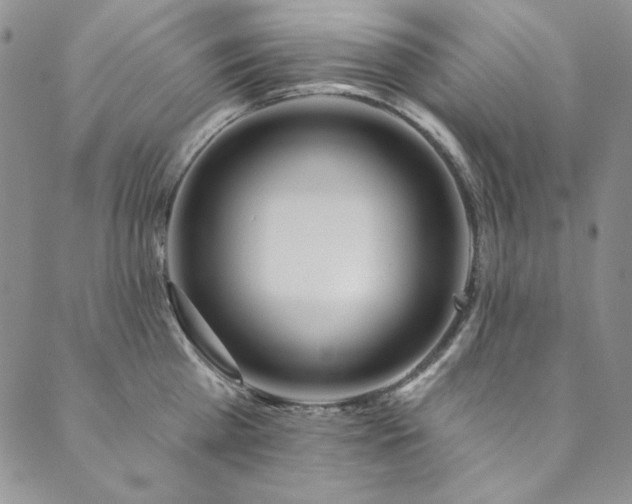 X0000090500809200707131350