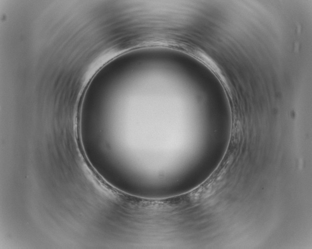 X0000090500811200707131350