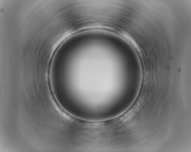 X0000090500813200707131350