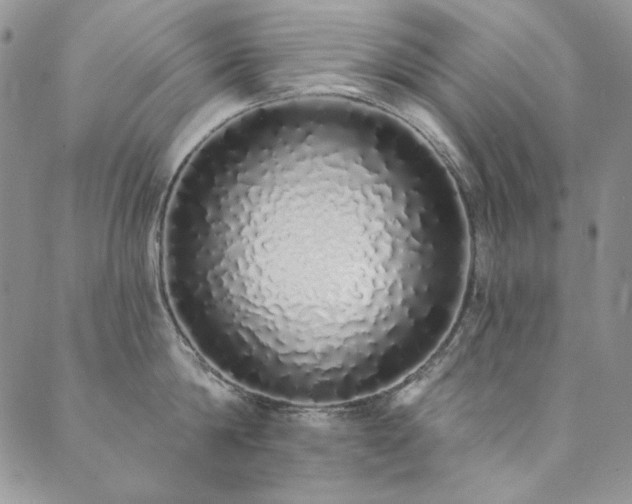 X0000090500814200707131350
