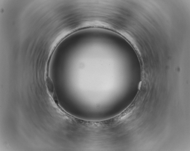 X0000090500815200707131350