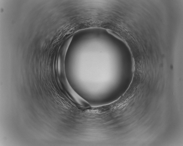 X0000090500818200707131350