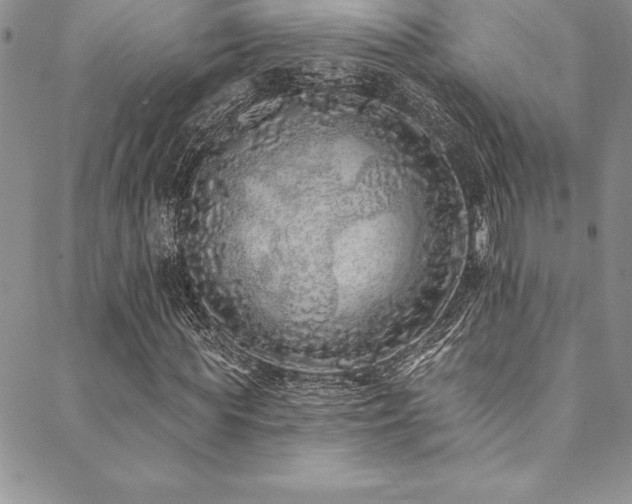 X0000090500819200707131350