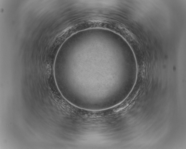 X0000090500821200707131350