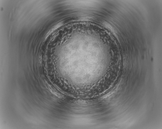 X0000090500827200707131350