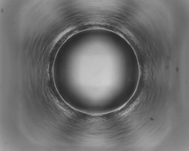 X0000090500830200707131350