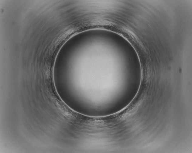 X0000090500833200707131350