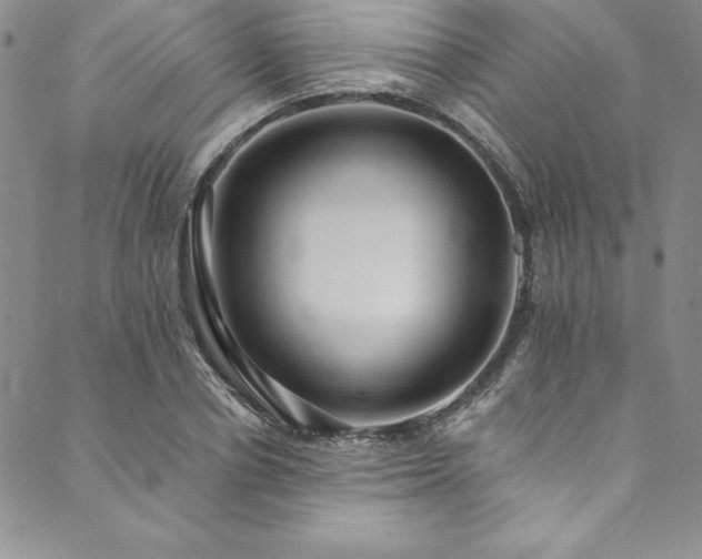 X0000090500834200707131350
