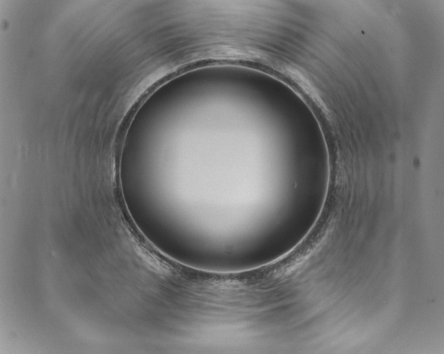 X0000090500837200707131350