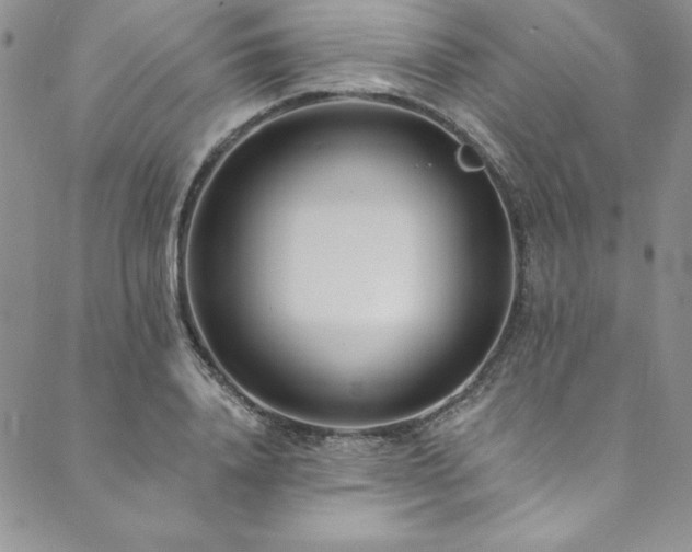 X0000090500840200707131350