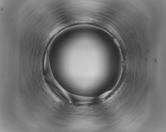 X0000090500842200707131350