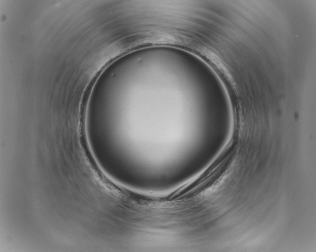 X0000090500845200707131350