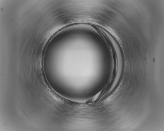 X0000090500846200707131350