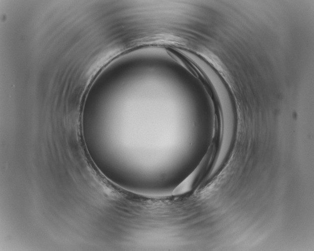 X0000090500850200707131350